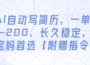 AI代写优化简历副业实操教程 低门槛高收益附工具指令包-雨叶虚拟资源网