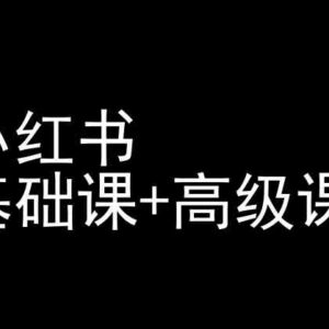 小红书运营全阶段教程汇总 基础入门+高阶实操课程合集-雨叶虚拟资源网
