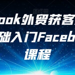 0基础Facebook外贸获客教程 跨境产品出海营销入门课程-雨叶虚拟资源网