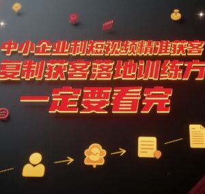 中小企业短视频精准获客指南 可复制落地训练方案详解-雨叶虚拟资源网