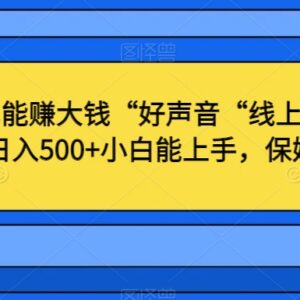 好声音线上社区唱歌变现玩法 小白易上手日入500副业教程-雨叶虚拟资源网
