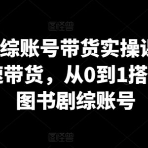 0基础图书剧综账号带货实操课 从0到1搭建起号变现全流程-雨叶虚拟资源网