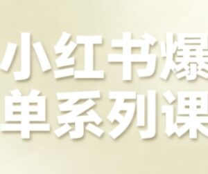 小红书电商全链路增长爆单系列课 含AI创作运营实操教学-雨叶虚拟资源网