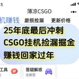 年底12月CSGO饰品全自动捡漏赚钱项目 手机操作可日入数百-雨叶虚拟资源网