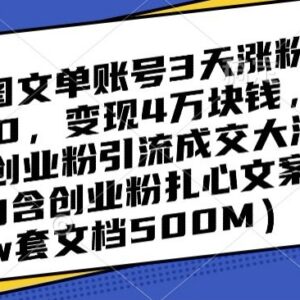 抖音图文账号创业粉引流玩法 3天涨粉5000变现4万实操教程-雨叶虚拟资源网