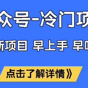 公众号冷门流量主变现项目揭秘 低门槛单月稳定收益1W实操指南-雨叶虚拟资源网