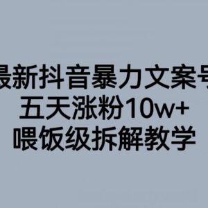 抖音暴力文案号玩法拆解 五天涨粉10w+实操教学指南-雨叶虚拟资源网