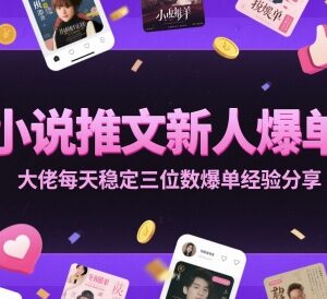 小说推文新人爆单指南 从业者稳定日入三位数实操经验分享-雨叶虚拟资源网
