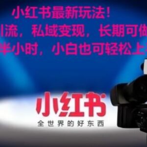 小红书考公女性赛道引流玩法 低门槛可长期操作的私域变现项目-雨叶虚拟资源网