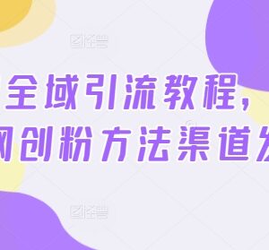 2024小淘全域引流教程 精准网创粉免费获客实操方法全攻略-雨叶虚拟资源网