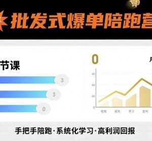 批发式爆单陪跑营20节实操课 从引流到成交助力业绩稳定增长-雨叶虚拟资源网