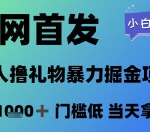 2024无人直播撸音浪项目详解 低门槛小白可操作当日拿结果-雨叶虚拟资源网
