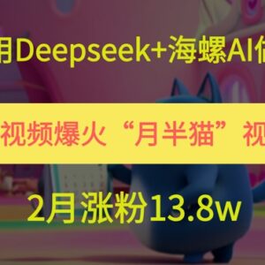 用Deepseek+海螺AI制作爆火月半猫短视频 2月涨粉13.8w实操教程-雨叶虚拟资源网