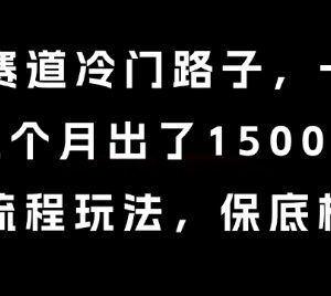 中老年赛道冷门盈利项目拆解 单客788上月出1500单全流程解析-雨叶虚拟资源网
