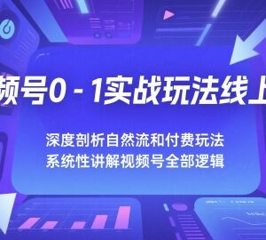 视频号0-1全链路实战运营教程 自然流及付费玩法深度解析-雨叶虚拟资源网