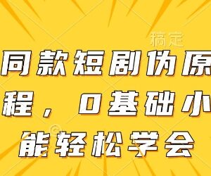 短剧伪原创搬运实用方法 0基础新手可快速上手无风险过原创-雨叶虚拟资源网