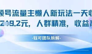 视频号流量主懒人新玩法 适合互联网小白的高收益副业项目-雨叶虚拟资源网