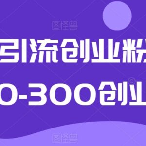 抖音引流精准创业粉实操教程 单日获客100-300的实用方法分享-雨叶虚拟资源网