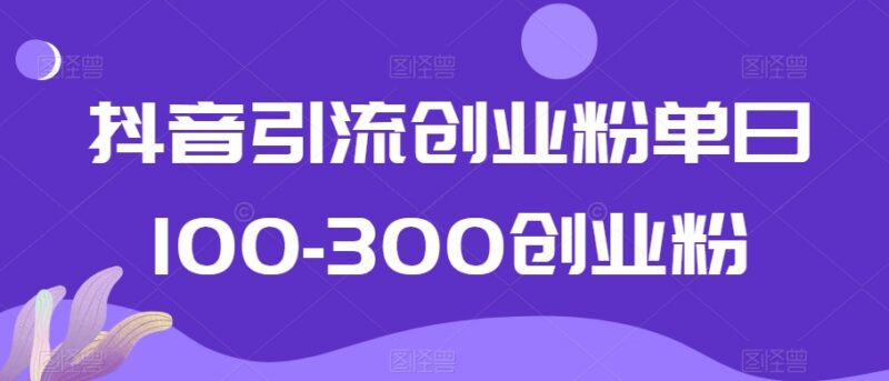 抖音引流精准创业粉实操教程 单日获客100-300的实用方法分享