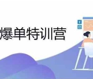 2024亚马逊爆单特训营 广告优化与爆款打造运营全教程-雨叶虚拟资源网