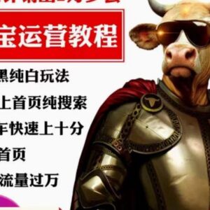 淘系算法逆向解密运营课 手淘免费搜索流量14天破万实操指南-雨叶虚拟资源网