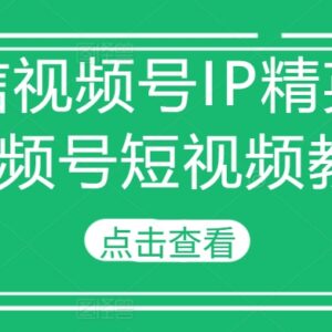 微信视频号IP精英班教程 零基础学短视频运营与变现-雨叶虚拟资源网