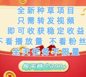 无需粉丝无需播放量 种草视频代发项目闲置账号可赚稳定收益-雨叶虚拟资源网
