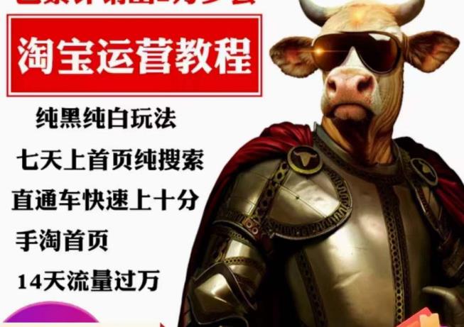 淘系算法逆向解密运营课 手淘免费搜索流量14天破万实操指南