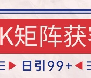 小红书抖音引流获客玩法揭秘 自热矩阵实操日引精准用户200+-雨叶虚拟资源网