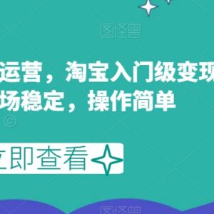 淘宝虚拟产品运营入门教程 零基础操作稳定变现全流程指南-雨叶虚拟资源网