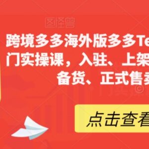 Temu跨境电商12天实操入门课 从入驻到售卖全流程详解-雨叶虚拟资源网
