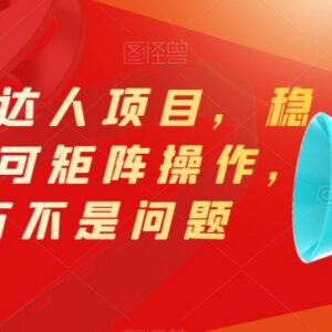 抖音影票达人项目操作攻略 矩阵运营可稳定实现月入三万-雨叶虚拟资源网