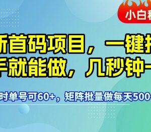首码一键拉新项目玩法揭秘 低门槛操作单号每小时收益可达60+-雨叶虚拟资源网