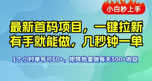首码一键拉新项目玩法揭秘 低门槛操作单号每小时收益可达60+