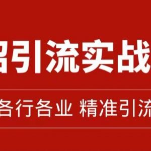 私域精准引流11招实战方法 全套11节引流运营课程完整分享-雨叶虚拟资源网