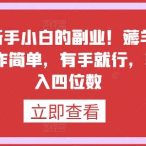 新手零门槛副业推荐：外网看广告薅羊毛 操作简单易上手-雨叶虚拟资源网