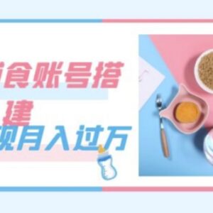 婴儿辅食账号搭建运营全教程 附素材低门槛上手实现稳定副业增收-雨叶虚拟资源网