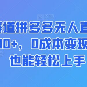拼多多无人直播蓝海赛道实操 0成本易上手小白也能稳定变现-雨叶虚拟资源网