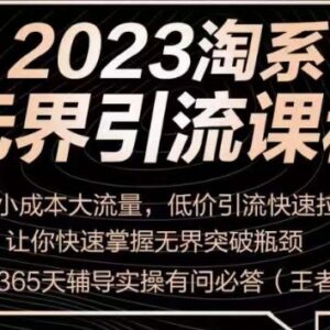 2023淘系无界引流实操课程 小成本低价引流快速拉新破运营瓶颈-雨叶虚拟资源网