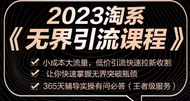 2023淘系无界引流实操课程 小成本低价引流快速拉新破运营瓶颈