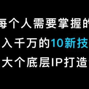 马大个IP底层逻辑课 个人IP打造全流程实操教学课程-雨叶虚拟资源网