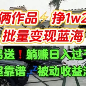 汽水音乐种草项目实操攻略 无需导私域2个作品可赚上万元-雨叶虚拟资源网