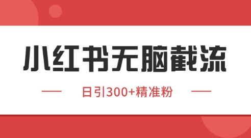小红书截流同行客源实操教程 日引200+精准私域获客玩法解析