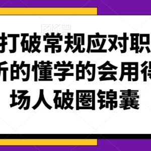 职场人破圈实操指南 应对各类职场难题的可落地实用技巧-雨叶虚拟资源网