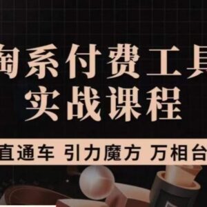 猫老师淘系付费工具实战课 直通车引力魔方万相台实操教学-雨叶虚拟资源网
