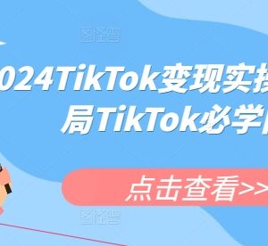 2024TikTok变现实操课程 跨境电商入局全流程运营指南-雨叶虚拟资源网