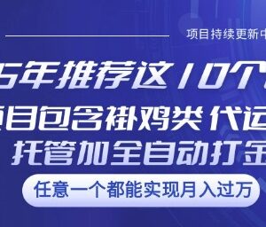 2025年10个热门副业项目汇总 含挂机代运营全自动打金等类型-雨叶虚拟资源网