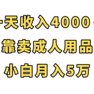 成人用品线上售卖赚钱项目拆解 零经验小白可操作月入超5万-雨叶虚拟资源网