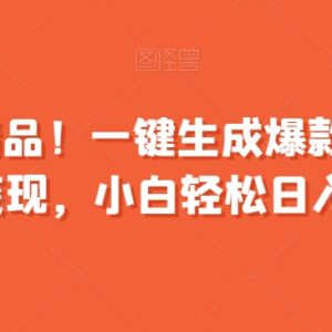 一键生成爆款视频快速起号变现教程 新手可操作的低门槛项目-雨叶虚拟资源网