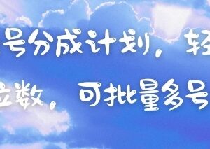 视频号分成计划中老年赛道玩法 可批量多号操作轻松获取收益-雨叶虚拟资源网